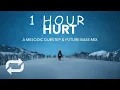 [1 HOUR] Hurt  A Melodic Dubstep \u0026 Future Bass Mix
