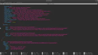 GitHub API How to get data from a repo inside the terminal
