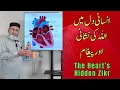 Download Lagu Signs of Allah in the Human Heart | Spiritual Secrets of Lub Dub