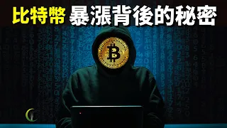 比特幣暴漲背後的秘密(3個人和3個公司的故事) | 天天探秘(加密貨幣,位元幣,數字貨幣,數字朋克,中本聰,門頭溝)