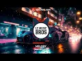 Dimitri Vegas & Like Mike,Steve Aoki & Ummet Ozcan- melody (radio mix )