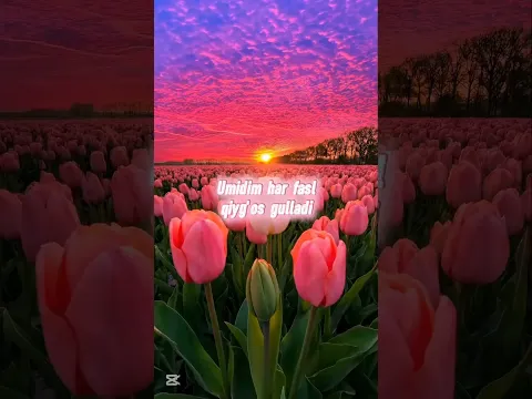 MONOLOG❤️‍🩹ONA #rek #topyoutube #Status_Dilash #DilashNet