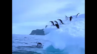 Islamic Short Bangla Video Islamicstatus اسلامی ویڈیوز اور تصویریں 