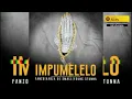 Fanzo – Impumelelo feat  Kabza De Small & Young Stunna