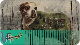 أغبى   حروب سببها البزرنة دندنها