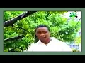 KOFFI OLOMIDE-PAPA PLUS