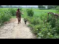 Download Lagu বৃষ্টি - রান্না করা আর খাওয়া ছাড়া আমাদের আর কাজ নাই 😍village soil anu
