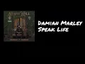 Damian Marley - Speak Life [자막]