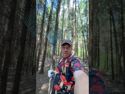 Зачем в лесу нужны грабли #diy #самостройщик