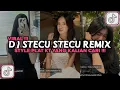 Download Lagu DJ STECU STECU REMIX PLAT KT YANG LAGI VIRAL DI TIKTOK 2025