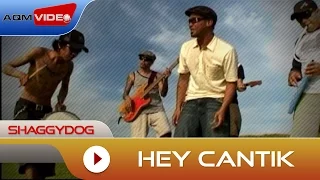 shaggydog hey cantik official music video