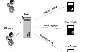 Server Side VS Client Side Programming