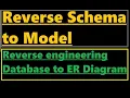 Reverse Schema to Model