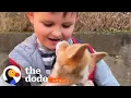Man Adopts A Corgi After His 7-Year-Old Son Writes Him A Letter The Dodo