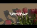 Monsieur Periné — Bailar Contigo [Letra]
