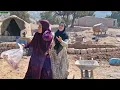 TWO WIVES: Fariba Explodes Over Leila’s New House… Ruhollah Strikes Back! 😱🏠