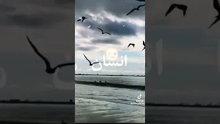 لو رحتي بضلي بعيوني وبقلبي كمان 