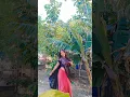 Download Lagu jan leba ka Pran leba ka || Shilpi Raj, Nishant Singh || hit song #viral #shorts #dance #bhojpuri