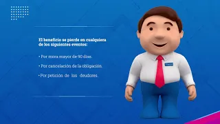 en qu consiste el subsidio frech no vis