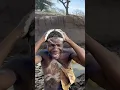 Download Lagu Hadzabe Tribe - Chabaa is taking a bath. #hadzabetribe #africantribe #chaaba #hadza  #usa #africa