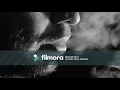 Yotto - Nova