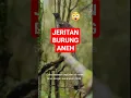 Download Lagu \