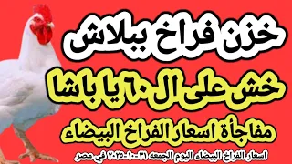 اسعار الفراخ البيضاء اليوم سعر الفراخ البيضاء اليوم الجمعه ٣١ ١٠ ٢٠٢٥ في مصر جمله وقطاعي 