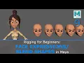 Rigging for Beginners Face Shapes in Maya