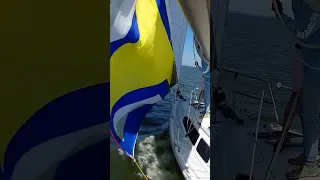 #shorts #sailing #texas #fun #spinnaker #shorts