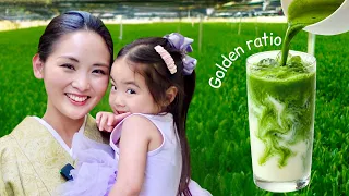 How to Make Perfect Matcha: The Golden Ratio by Ex-Geisha, Japanese Mom