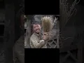 Download Lagu Ze betaalden een hoge prijs om slechts een volledige maaltijd te krijgen