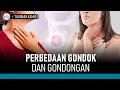 Download Lagu Bedanya Bengkak di Leher karena Gondok dan Gondongan | Hidup Sehat tvOne