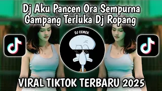 dj aku pancen ora sempurna gampang terluka dj ropang roda panguripan viral tiktok terbaru 