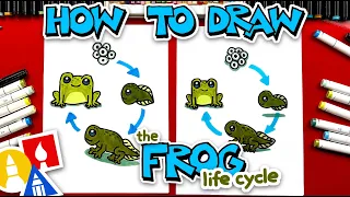 How To Draw The Frog Life Cycle