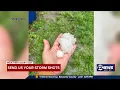 Tracking severe weather across Kansas