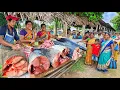 Lagu Wow! Village Fish Market The Lifecycle of a Sri Lankan Fisherman's Family Journey