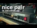 Nice Pair of T Univalves