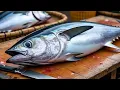 Lagu Fresh Tuna Cutting Show-Live at the Market