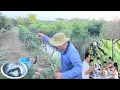 Download Lagu Tập17/Bữa Cơm Với Những Món Ăn Đầy Kỷ Niệm Sau Đêm Cấm Câu Của Gia Đình|NHMT