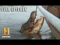 Swamp People Ten Deadliest Hunts Season 4 Episode 24 Full Episode History