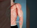 Your Body s Response To This Fitness Regime