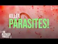 Download Lagu Why Do Parasites Exist? | The Creation Podcast: Episode 47