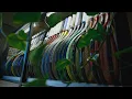 How I Store My Racquets Racquet Collection Tour