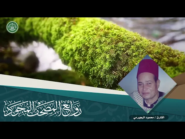 ⁣القارئ | محمود البجيرمي
