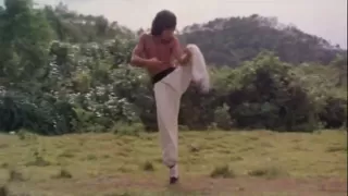 8 drunk gods drunken master original re dub