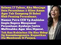 Lagu Selama 17 Tahun Aku Menjaga Perusahaan Itu Sepenuh Hati. Namun Putra CEO Justru Yg Menghancurkannya