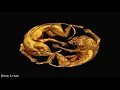 FIND YOUR WAY BACK - Beyoncé (Audio & Lyrics) The Lion King: The Gift