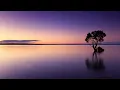 Gavin Adcock Four Leaf Clover Lyrics