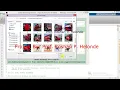Content Based Image Retrieval Using Image Processing Matlab Project With Source Code