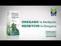 Oregano Herbycin TVC 15s